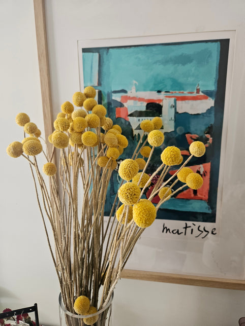 How to achieve longlasting colour in dried flowers