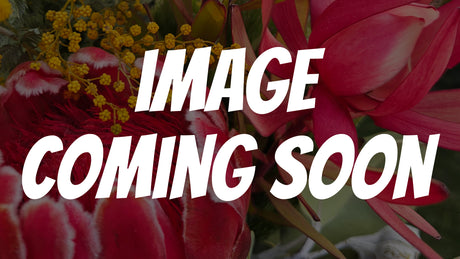 Placeholder image with 'Image Coming Soon' text over flowers