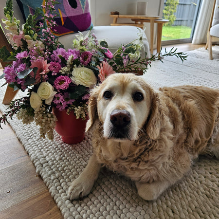 Dog lying on a textured rug with a bouquet of flowers