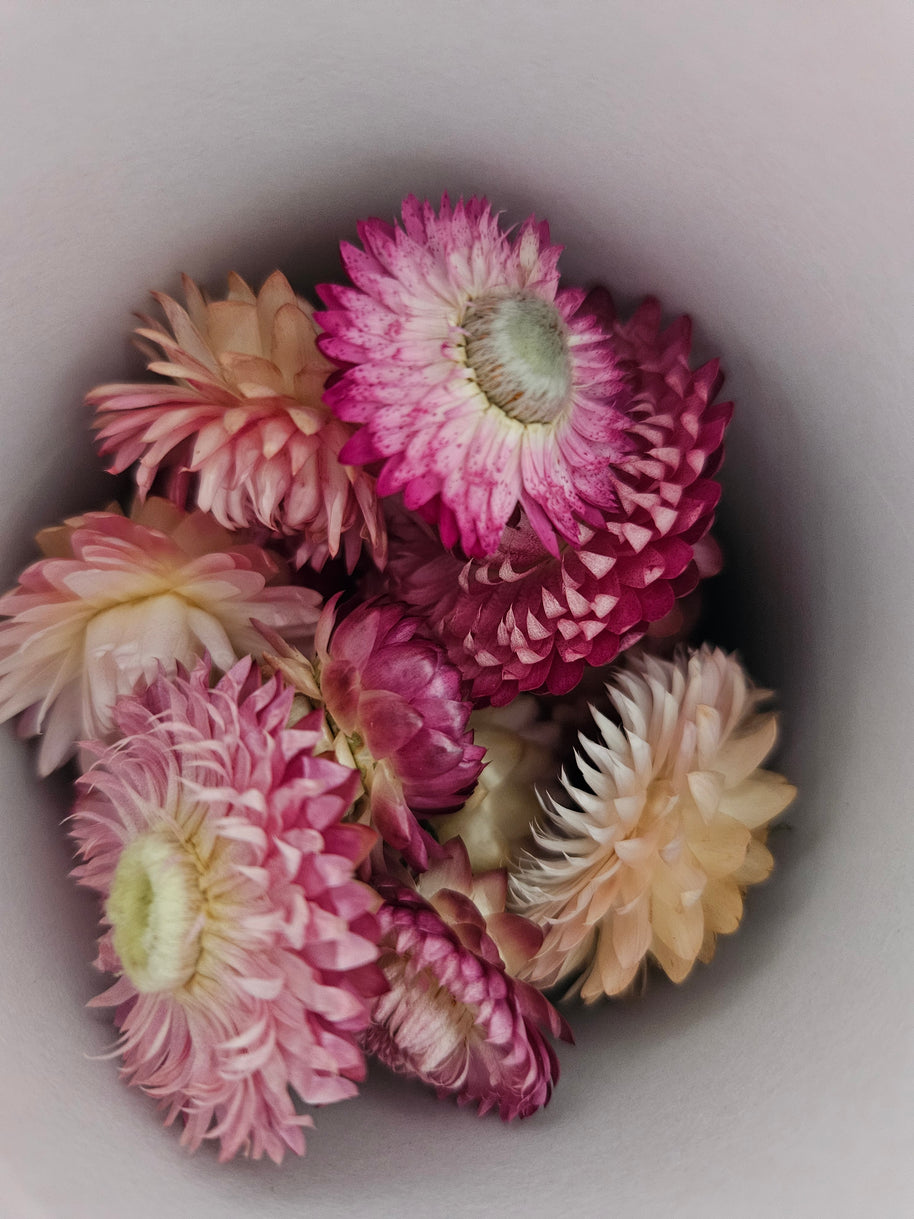 Pink dried strawflowers in a heart-shaped arrangement on a light background