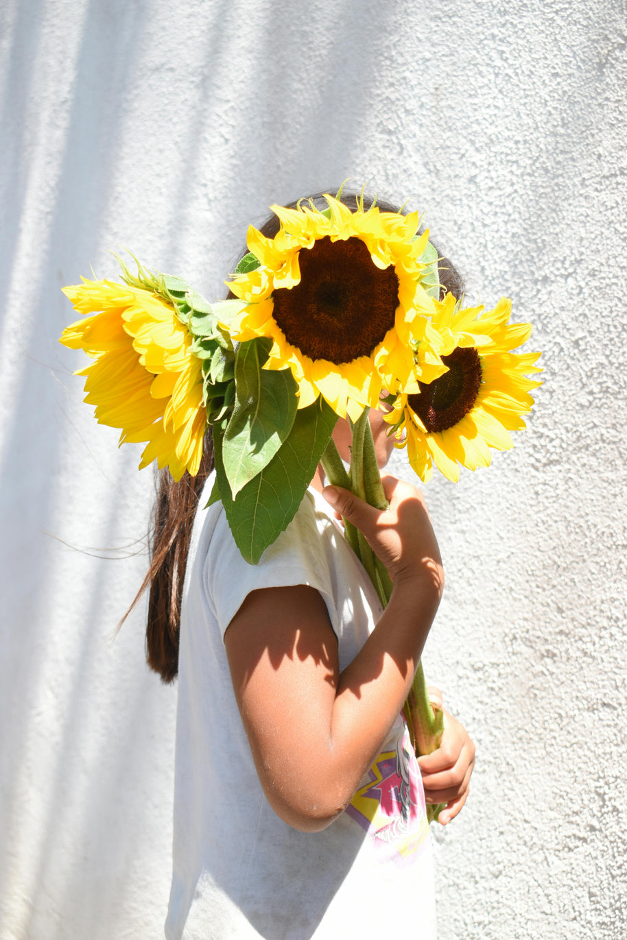 Child holding a bouquet of sunflowers against a white background